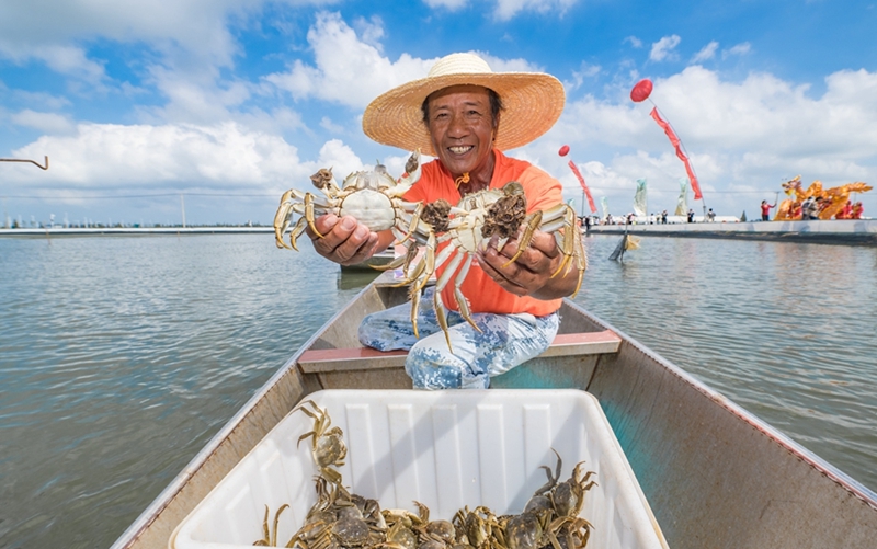 南京高淳：“金秋第一蟹”開捕了